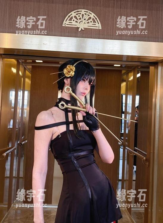 Vinnegal的蕾泽战斗女仆II，精选图片中透出的神秘感，简直让人无从抵抗！-缘宇石