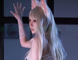 当黑白御猫遇上网袜，写真界的奇幻之旅，壁纸也想参与！